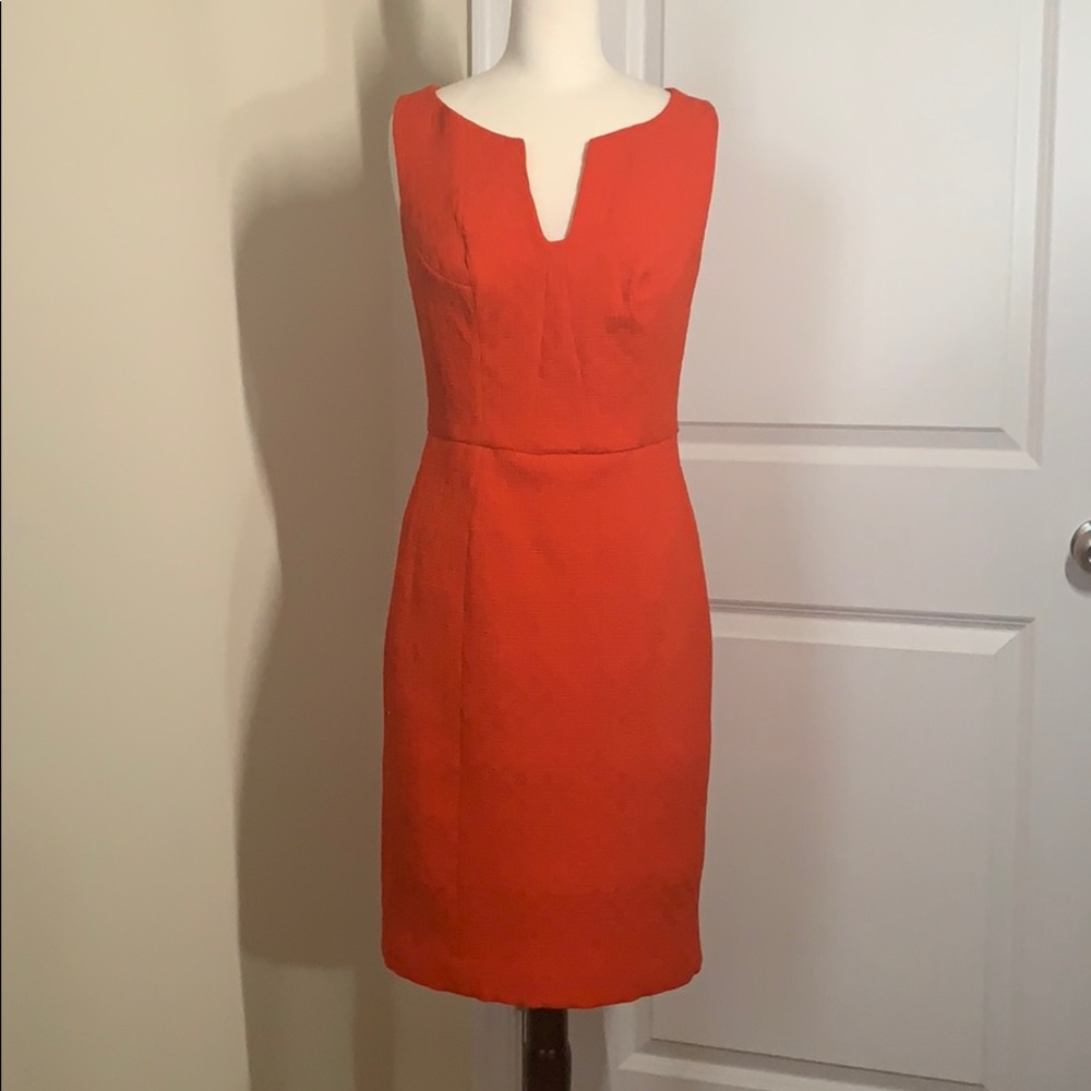 Orange Work/ Interview Dress